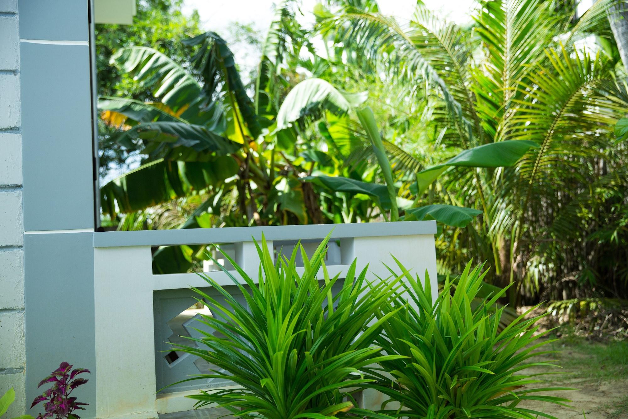Mr Tho Garden Villas Hoi An Eksteriør billede